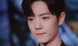 肖战网红最新爆料,揭秘网红背后的真实故事